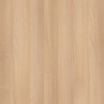 Акация Лорка